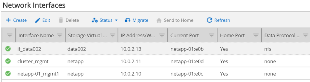 NetApp NFS Export with Ansible - Network Interfaces