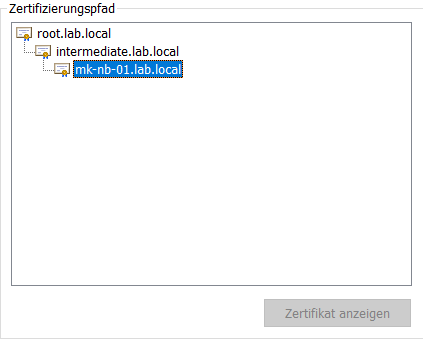 Configure REST API HTTPS - Certificate Chain